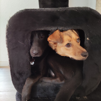 Lola und Gianna Lola und Gianna
