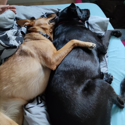 Lola und Gianna Lola und Gianna